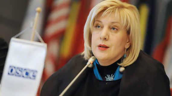 В российском МИД утверждают, что Комиссар Совета Европы по правам человека посетит Крым