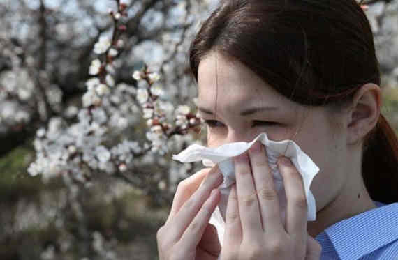 Крымчан предупредили о начале сезонной аллергии