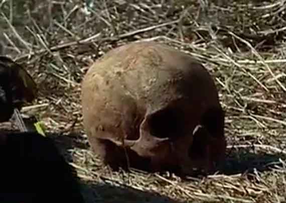 Полицейские устанавливают личность мужчины, череп которого нашли под Алуштой