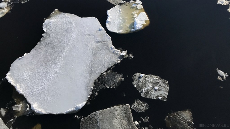 Площадь морского льда Антарктики достигла исторического минимума