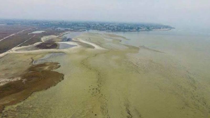 Перекрытие Украиной Северо-Крымского канала обернулось экологической катастрофой на озере Сиваш