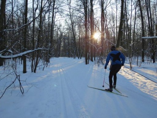 Виды физической активности зимой: что полезнее?