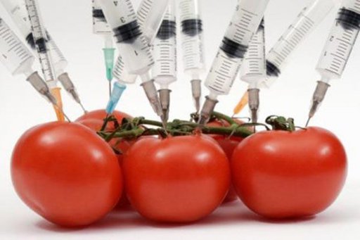ГМО: что это такое и насколько безопасно