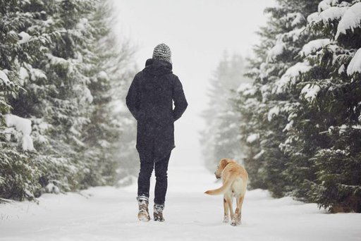 Медики рассказали о пяти правилах для прогулок в январе