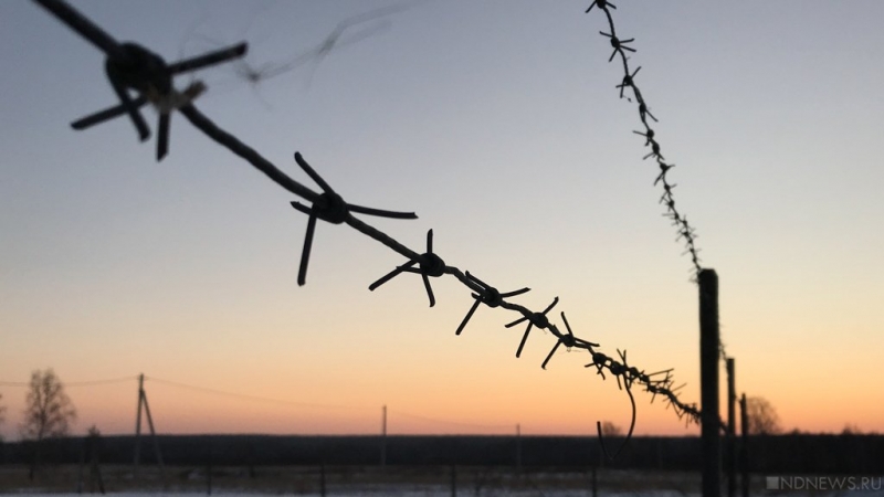«Взяли и вышвырнули»: Жириновский раскритиковал депортацию из России украинской журналистки