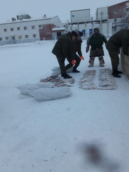 На Ямале у аборигена изъяли 170 кг браконьерского улова (ФОТО)