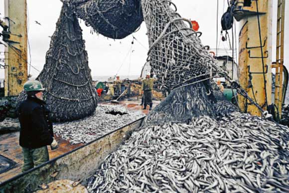 Госдума России одобрила продление особых условий для рыбоводных хозяйств Крыма