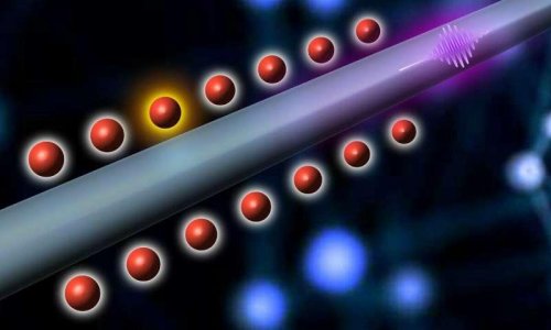 Физикам удалось построить квантовый регистр на базе оптоволокна и сверхохлажденных атомов