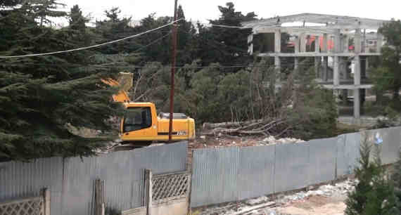 Пилите, Шура: в Севастополе уничтожают оазис