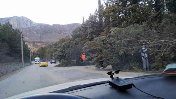 Ураганный ветер на ЮБК: в Ялте дерево рухнуло на дом (фото)