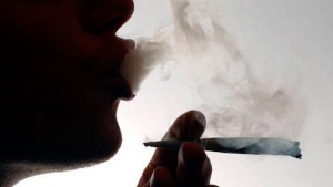 Около двух килограммов марихуаны изъяли из дивана у жителя Севастополя