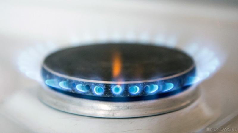 В «Нафтогазе» обвинили Германию в лишении Украины газового транзита