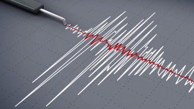 Землетрясение магнитудой 5,9 произошло в Индии