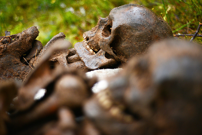 Останки древних людей неизвестного вида обнаружены на Филиппинах 