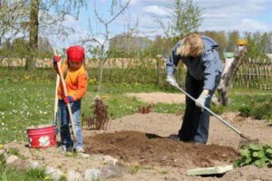 Лунный посевной календарь для садовода и огородника на май 2019 года