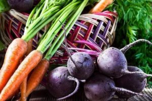 Когда можно сажать свеклу и морковь в открытый грунт в Подмосковье в 2019 году, сообщают специалисты