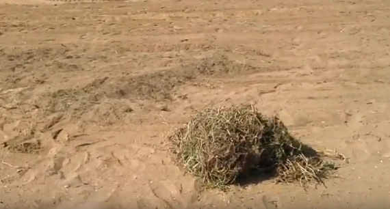 Дорогу под Феодосией заносит песком из-за застройки пляжей (видео)