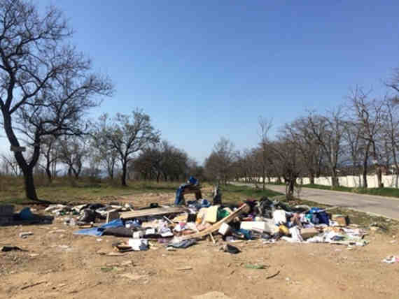 Жителей Северной стороны раздражает мусорка в центре парка (фото)