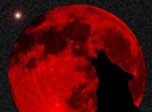 В январе над Землей взойдет Кровавая Волчья Луна