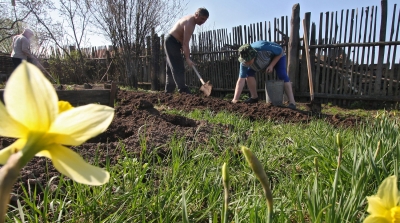 Врачи посоветовали не ставить «рекорды в огороде» на майские праздники