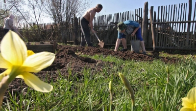 Врачи посоветовали не ставить «рекорды в огороде» на майские праздники