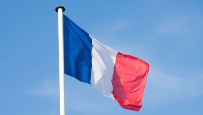 Экоактивисты вылили 300 литров «крови» на ступени дворца в Париже