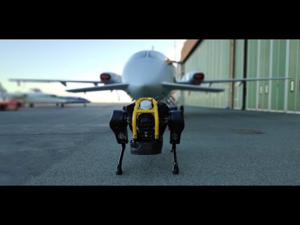 Маленький робот HyQReal во время испытаний отбуксировал самолет весом 3 тонны
