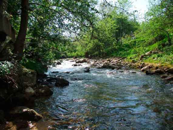 Севприроднадзор зовет севастопольцев чистить реку Бельбек
