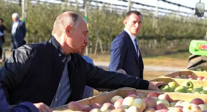 Продовольственное эмбарго: на сколько контрсанкции взбодрили Российское сельское хозяйство