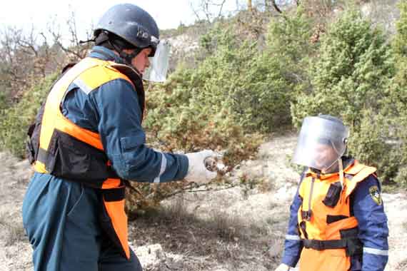 Спасатели в Крыму обезвредили висевшую на дереве бомбу
