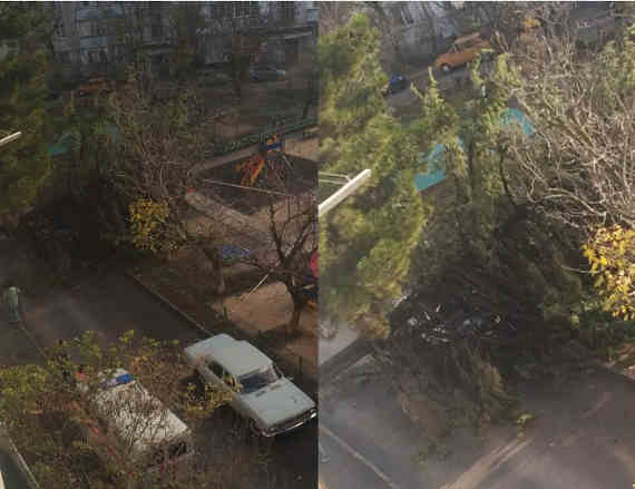 В Севастополе на детскую площадку упало дерево (фото, видео)