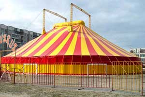 Депутат Заксобрания Севастополя предложила построить спортивное общежитие вместо цирка