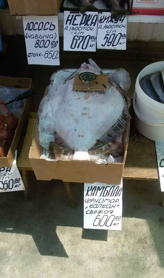 Специалисты ветеринарного управления Севастополя изъяли более 100 кг рыбы у уличных торговцев