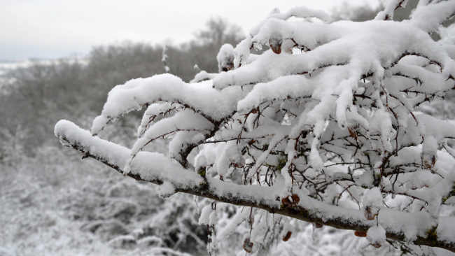 На Новый год в Крыму прогнозируют мороз и мокрый снег