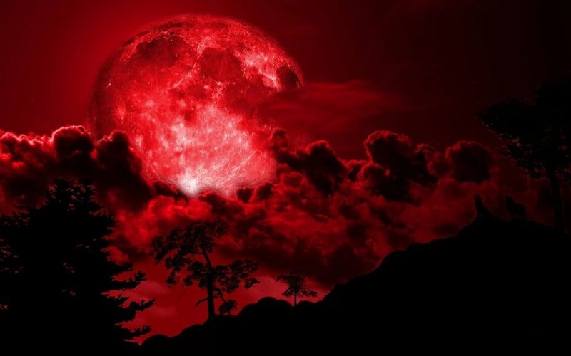 Астрологи назвали Луну причиной очередного конца света в ноябре 2020 года