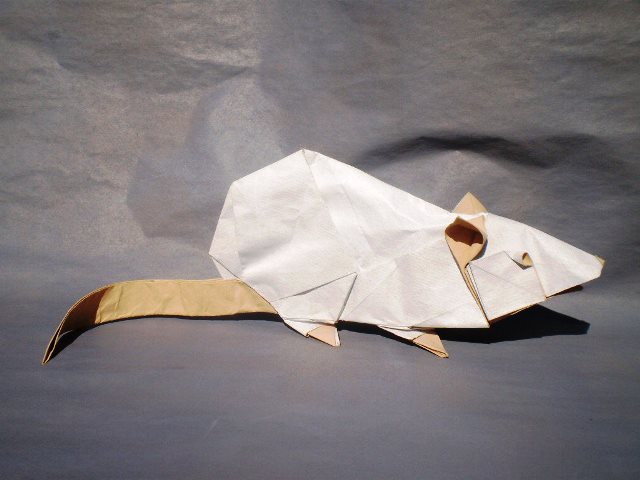 Модульное оригами с крысой на Новый 2020 год: как сделать, шаблоны